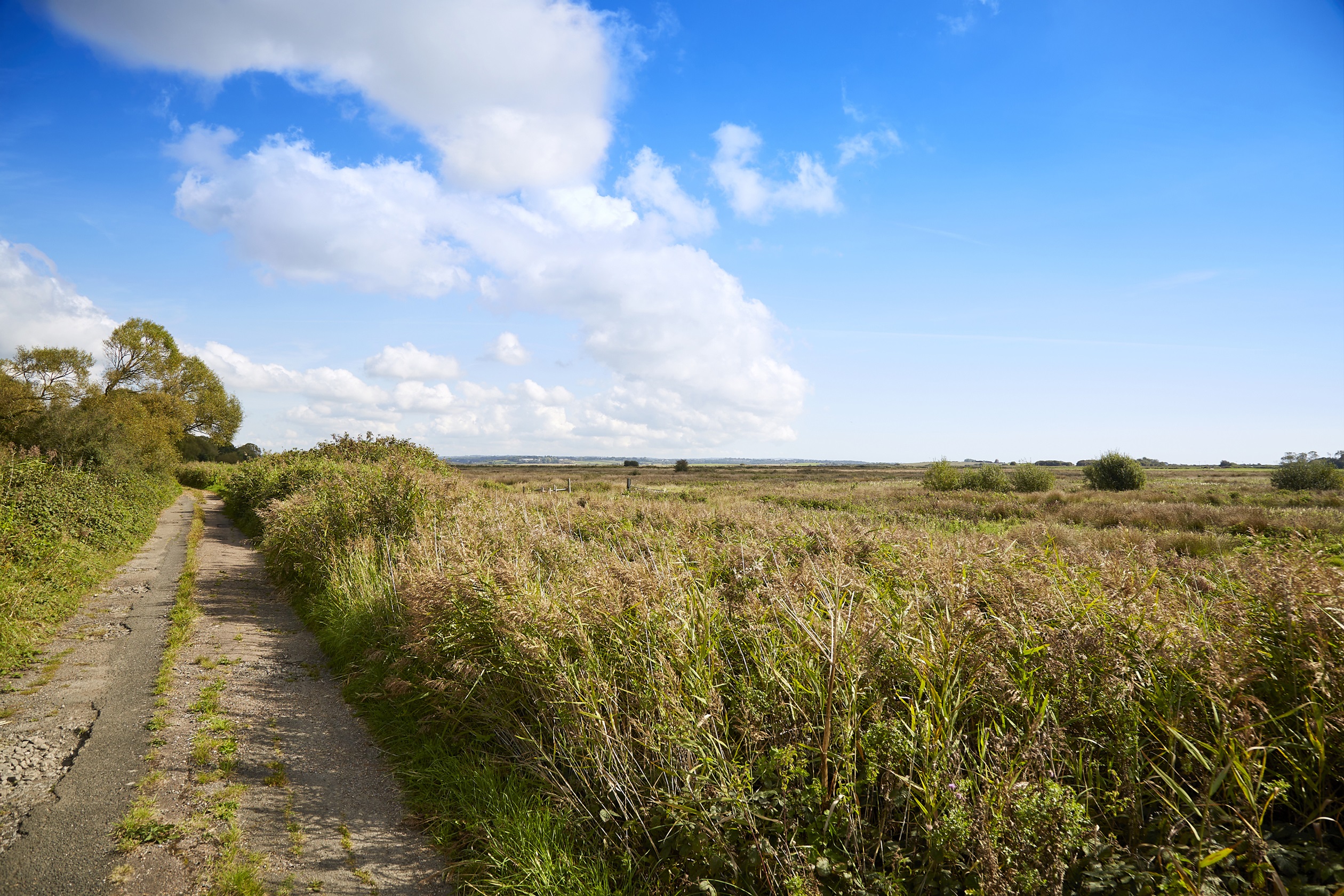 Footpath at Pevensey Levels Nature Reserve
